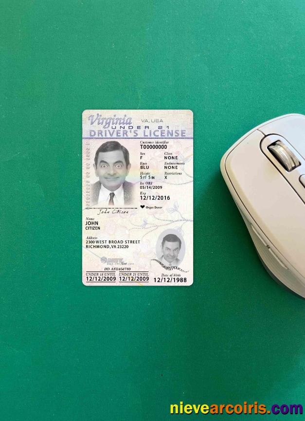 USA Virginia driving license 2009-present photolook